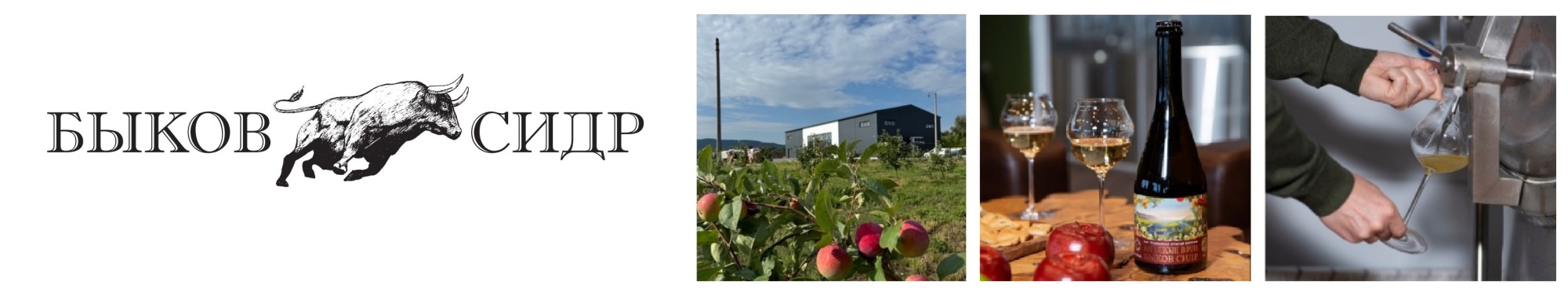 Annual seminar from the "Bykov Cider" sideroom, Togliatti, 2025.